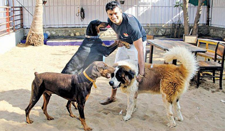 Industrial Security, Nashik - Animal Welfare, Rescue Center