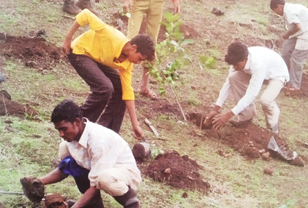 Industrial Security, Nashik - Forest Plantation